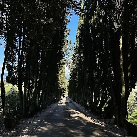 Appartamento In Del Xv Secolo Seano
