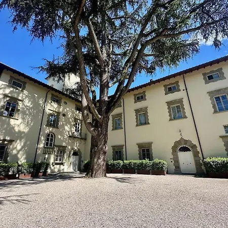 In Del Xv Secolo *